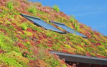 Hessenford living roof systems